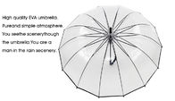 Uzun Saplı Şeffaf Kubbe Şekilli Şemsiye Yüksek Mukavemetli Esneklik Rüzgar Geçirmez Tedarikçi